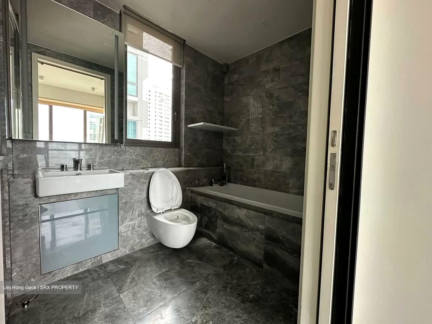 Skyline Residences (D4), Condominium #585357741